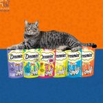 پت شاپ دکتر پلاس در مشهد