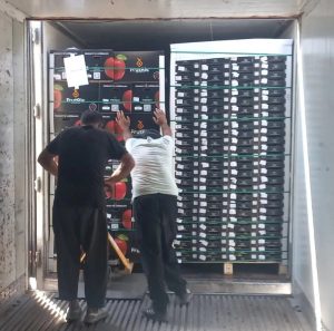 شرکت حمل و نقل بین المللی ساهی ترابر مسیر در تهران