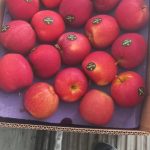 شرکت حمل و نقل بین المللی ساهی ترابر مسیر در تهران