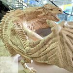 تولیدی مصنوعات چوبی چوبین کده در ملایر