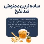 عطاری بانو مشهدی در قاسم آباد مشهد