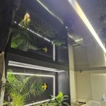 طراحی معماری و سقف کشسان دیاموند سازه در رشت