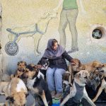 پناهگاه حیوانات بهشت پاکان در جاده ساوه