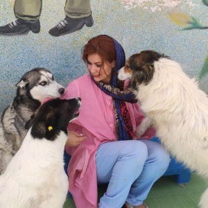 پناهگاه حیوانات بهشت پاکان در جاده ساوه