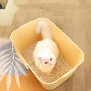 فروش خاک گربه مایا در سمنان