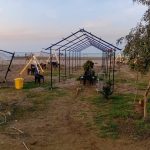 کافه رستوران دیاکو در ساری