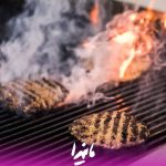 هلدینگ مانیدا در بابل