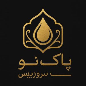 مبل شویی پاک نو سرویس در تهران