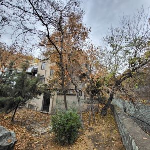 کمپ ترک اعتیاد ندای آرامش تجریش تهران