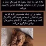 فروش خاک گربه مایا در سمنان