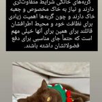 فروش خاک گربه مایا در سمنان