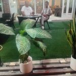 کافه رستوران کاج در شریف آباد قزوین