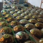 کارخانه ساخت هنگ درام رنجبران در تهران