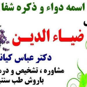 عطاری گیاه دارویی ضیاءالدین در رشت