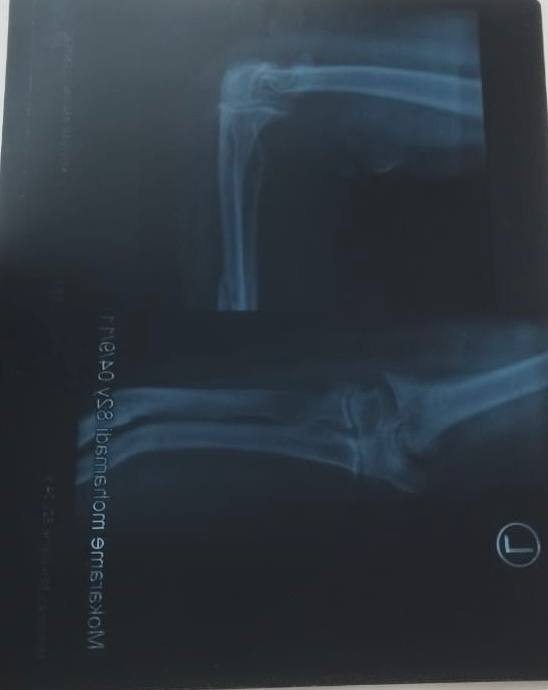 خدمات طب سنتی موسوی در محمدشهر