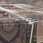 قالیشویی طاهر در گلستان شیراز