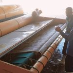 قالیشویی طاهر در گلستان شیراز