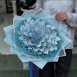 گلفروشی بانک گل شعبه 2 در گرگان