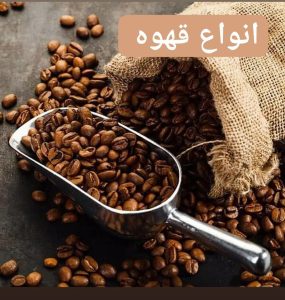 آبمیوه بستنی برکه در قزوین