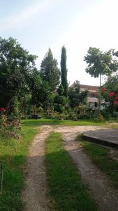 گلخانه ir gol در رامسر