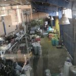 تولید نایلون و نایلکس تبلیغاتی ماهک پلاست در تهران