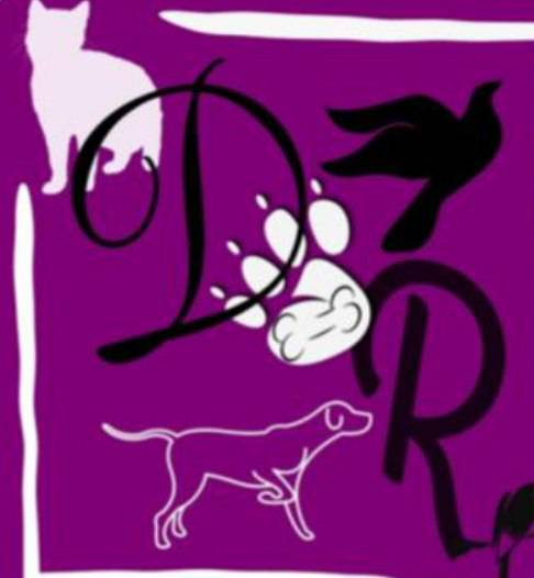 پت شاپ آقای دکتر در اردبیل