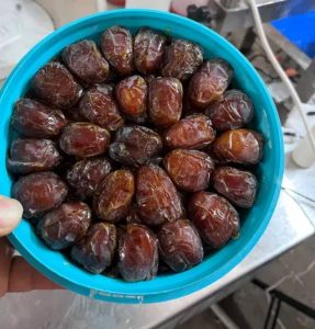 فروش خرما هاشمی در کارون