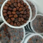 فروش خرما هاشمی در کارون