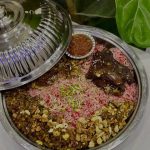 رستوران بیت المندی در آبادان