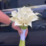 گل فروشی سناتور در تهران