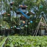 باغ رستوران صدف آبی در مشهد