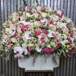 گل فروشی سناتور در تهران