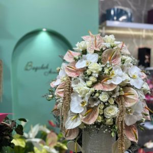 فروشگاه گل باغچه امیر در ساری