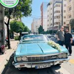فروشگاه گل باغچه امیر در ساری