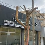 مشاورین املاک مرصاد در عظیمیه کرج