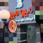 پت شاپ میو میو در بلوار سجاد مشهد