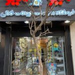 پت شاپ میو میو در بلوار سجاد مشهد