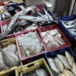 مشاهده ماهی فروشی امپراطور در ملایر در بهبود مشاغل