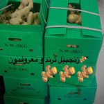 کافه صبحانه علی در جیرفت