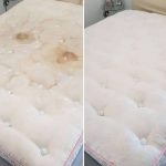 قالی شویی پاکیزان در سیرجان