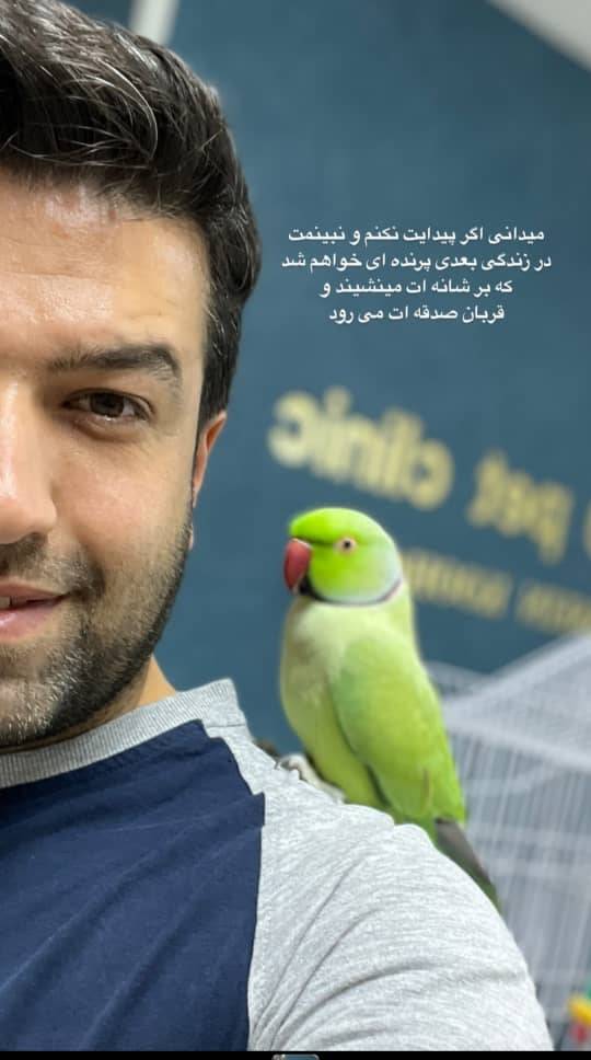 مشاهده کلینیک دامپزشکی هوکو در اهواز در سامانه بهبود مشاغل