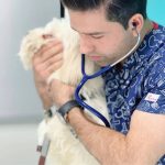 کلینیک دامپزشکی هوکو در اهواز