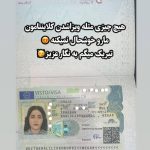 شرکت مهاجرتی سفیر نخبگان در همدان