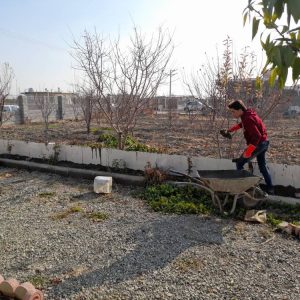 مشاهده آگهی کاشی کاری و سنگ کاری میلانی در ارومیه در سامانه بهبود مشاغل