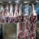 شرکت توزیع گوشت و ماهیچه گوسفندی گوشتینه قیاسوند در خرم آباد