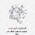 شرکت توزیع گوشت و ماهیچه گوسفندی گوشتینه قیاسوند در خرم آباد