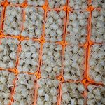 فروشگاه سوغاتی و سیر همدانا در همدان