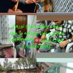 ساخت و تعمیر تور ماهیگیری علیجانی در جویبار