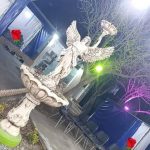 رستوران کباب ماهی زریبار در سنندج