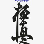 مربی کیوکوشین کاراته علی محمدی در مشهد